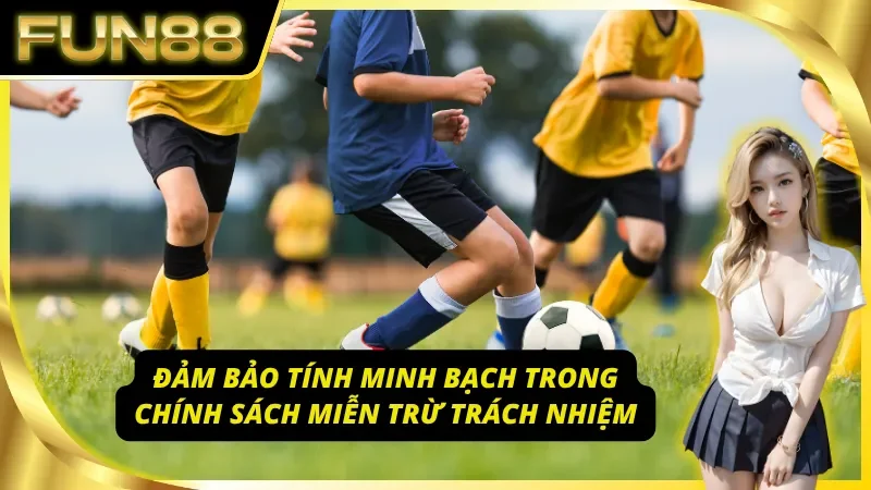 Giới hạn trách nhiệm hệ thống